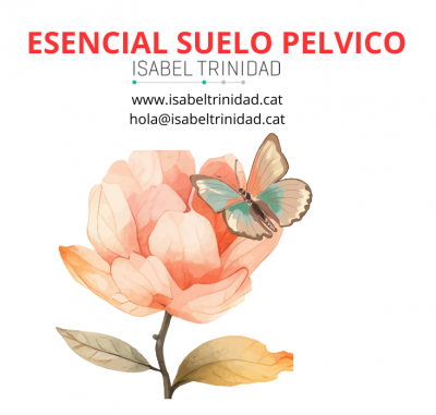 ESENCIAL SUELO PÉLVICO PRESENCIAL
