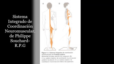 Reeducación Postural Global y postura 2